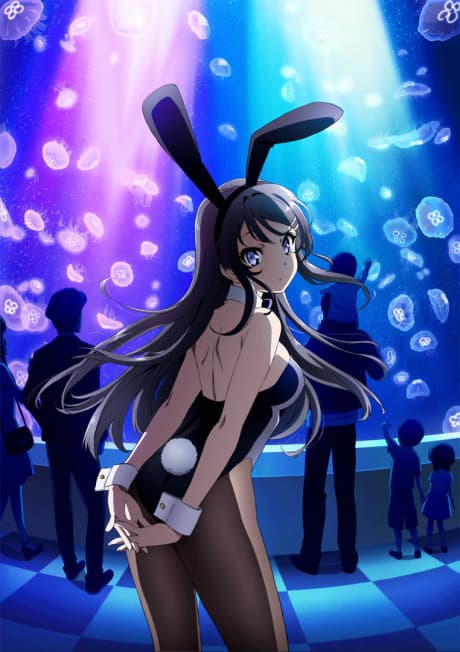 Rascal Does Not Dream of Bunny Girl Senpai poster art