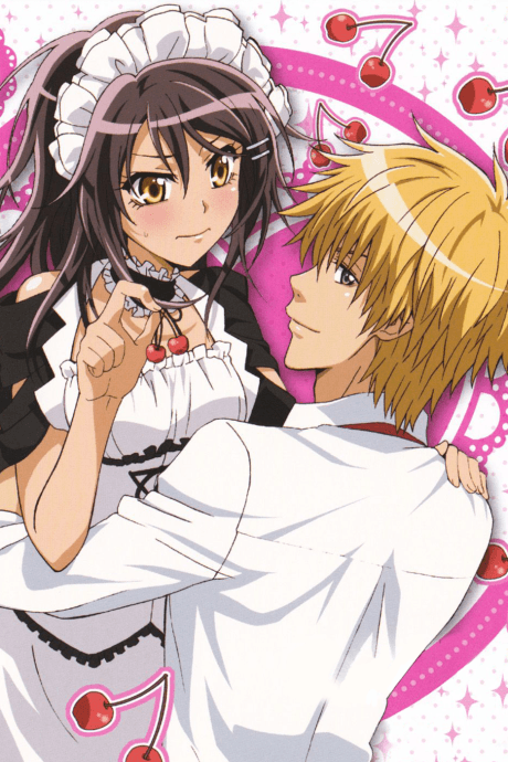 Maid-Sama! It's an extra! poster art